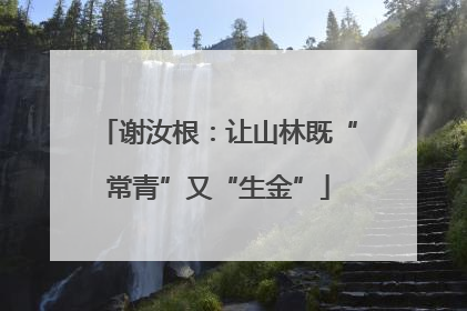 谢汝根：让山林既“常青”又“生金”