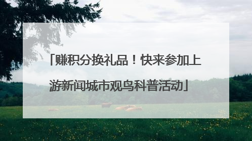 赚积分换礼品！快来参加上游新闻城市观鸟科普活动