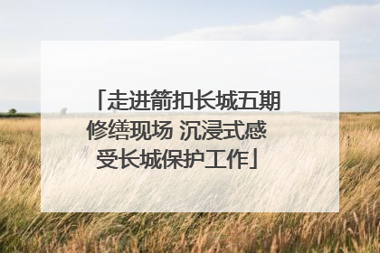 走进箭扣长城五期修缮现场 沉浸式感受长城保护工作
