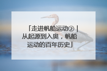 走进帆船运动②｜从起源到入奥，帆船运动的百年历史