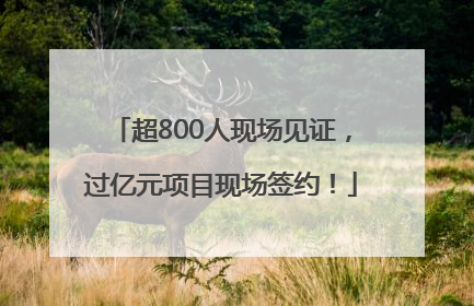 超800人现场见证，过亿元项目现场签约！