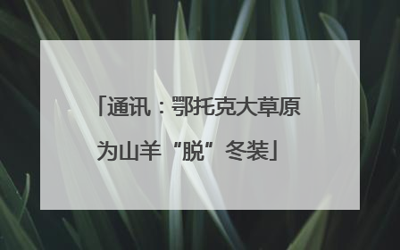 通讯：鄂托克大草原为山羊“脱”冬装
