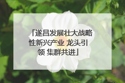 遂昌发展壮大战略性新兴产业 龙头引领 集群共进