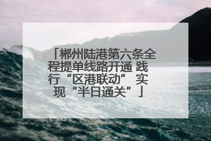 郴州陆港第六条全程提单线路开通 践行“区港联动” 实现“半日通关”