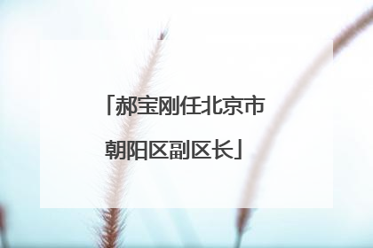 郝宝刚任北京市朝阳区副区长
