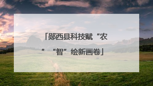 郧西县科技赋“农”“智”绘新画卷