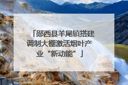 郧西县羊尾镇搭建调制大棚激活烟叶产业“新动能”