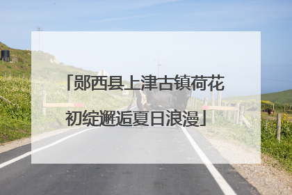 郧西县上津古镇荷花初绽邂逅夏日浪漫