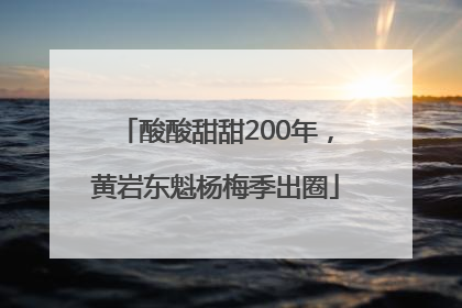 酸酸甜甜200年，黄岩东魁杨梅季出圈