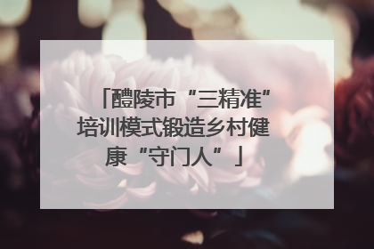 醴陵市“三精准”培训模式锻造乡村健康“守门人”