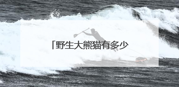 野生大熊猫有多少？种群如何分布？科研团队实地探秘