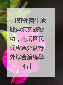 野外陌生地域锤炼实战硬功，南岳区民兵应急分队野外综合演练举行