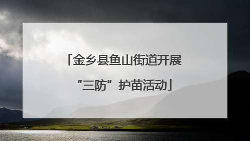 金乡县鱼山街道开展“三防”护苗活动
