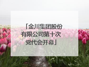 金川集团股份有限公司第十次党代会开幕