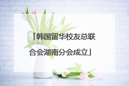 韩国留华校友总联合会湖南分会成立
