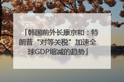 韩国前外长康京和：特朗普“对等关税”加速全球GDP缩减的趋势