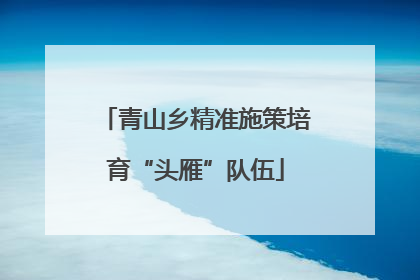 青山乡精准施策培育“头雁”队伍