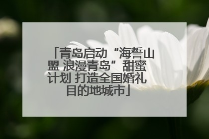 青岛启动“海誓山盟 浪漫青岛”甜蜜计划 打造全国婚礼目的地城市
