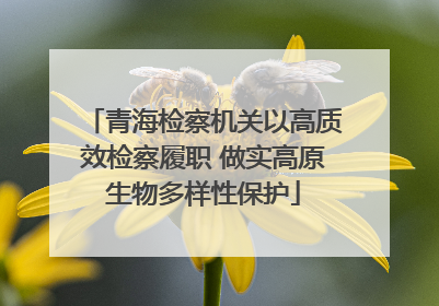 青海检察机关以高质效检察履职 做实高原生物多样性保护