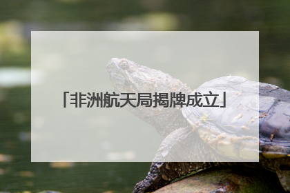 非洲航天局揭牌成立