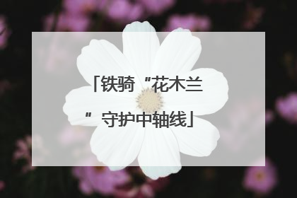 铁骑“花木兰”守护中轴线