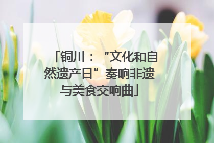 铜川：“文化和自然遗产日”奏响非遗与美食交响曲