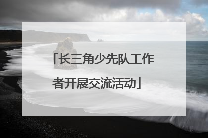 长三角少先队工作者开展交流活动
