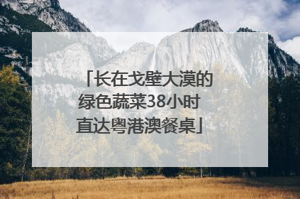长在戈壁大漠的绿色蔬菜38小时直达粤港澳餐桌