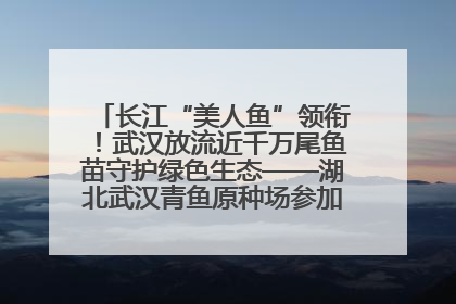 长江“美人鱼”领衔！武汉放流近千万尾鱼苗守护绿色生态——湖北武汉青鱼原种场参加2025年“全国放鱼日”增殖放流活动