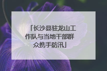 长沙县驻龙山工作队与当地干部群众携手防汛