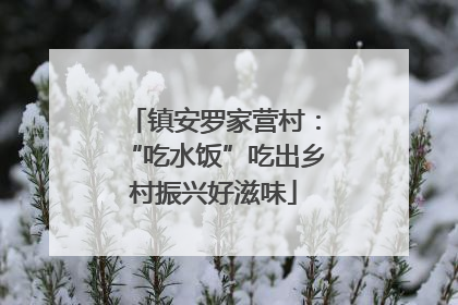 镇安罗家营村：“吃水饭”吃出乡村振兴好滋味