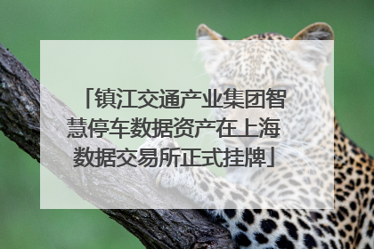 镇江交通产业集团智慧停车数据资产在上海数据交易所正式挂牌