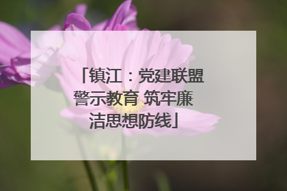 镇江：党建联盟警示教育 筑牢廉洁思想防线