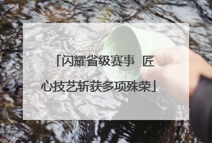 闪耀省级赛事  匠心技艺斩获多项殊荣