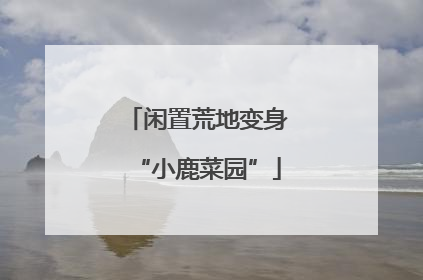 闲置荒地变身“小鹿菜园”