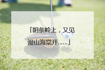 阴条岭上，又见漫山海棠开……