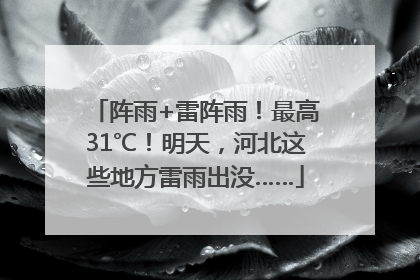阵雨+雷阵雨！最高31℃！明天，河北这些地方雷雨出没……