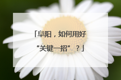 阜阳，如何用好“关键一招”？