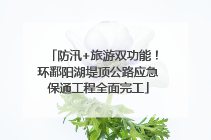 防汛+旅游双功能！环鄱阳湖堤顶公路应急保通工程全面完工
