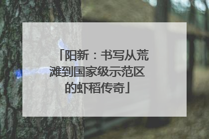 阳新：书写从荒滩到国家级示范区的虾稻传奇