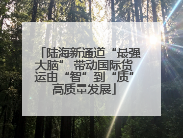 陆海新通道“最强大脑” 带动国际货运由“智”到“质”高质量发展
