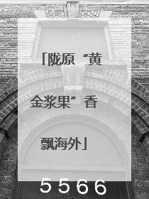 陇原“黄金浆果”香飘海外