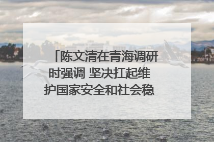 陈文清在青海调研时强调 坚决扛起维护国家安全和社会稳定职责使命 为谱写中国式现代化青海篇章贡献政法力量