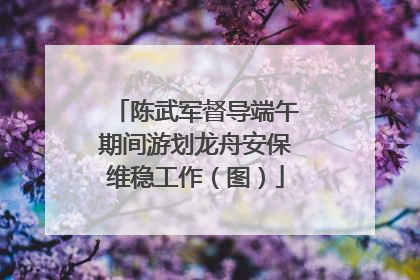 陈武军督导端午期间游划龙舟安保维稳工作（图）