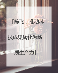 陈飞：推动科技成果转化为新质生产力
