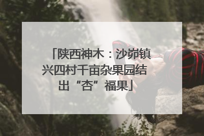 陕西神木：沙峁镇兴四村千亩杂果园结出“杏”福果