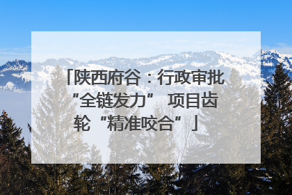 陕西府谷：行政审批“全链发力” 项目齿轮“精准咬合”