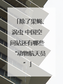 除了果蝇、涡虫 中国空间站还有哪些“动物航天员”