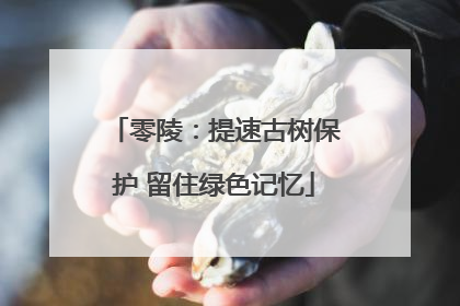 零陵：提速古树保护 留住绿色记忆