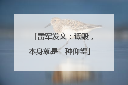 雷军发文：诋毁，本身就是一种仰望